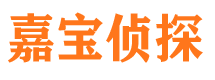 昭平市调查公司